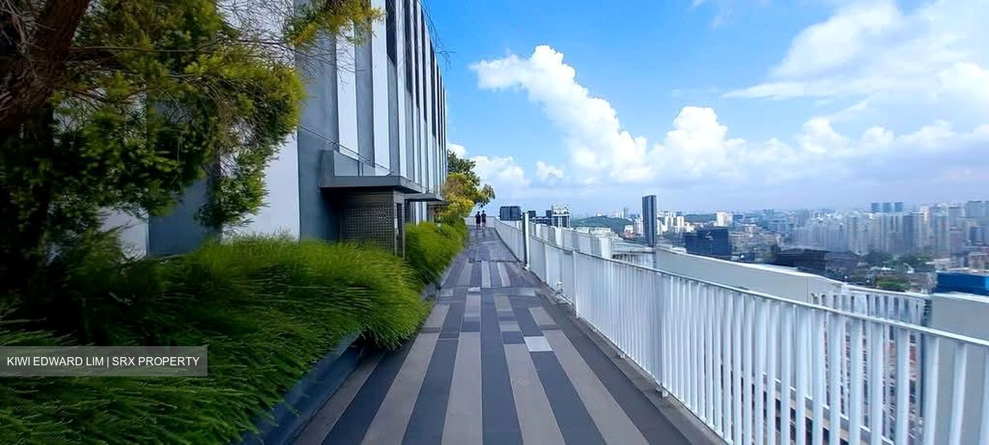 Blk 1D The Pinnacle@Duxton (Bukit Merah), HDB 4 Rooms #594561411
